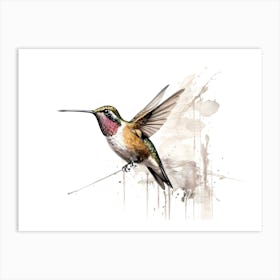 Kolibri Hummingbird - Water Color Painting 10 Art Print