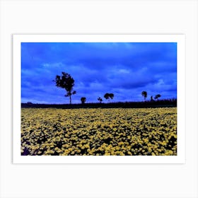 Field of Sunflowers in Tanzania Art Print