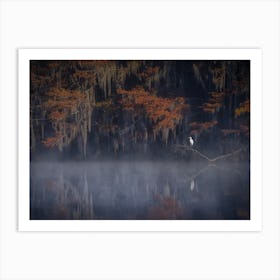 Misty Morning 2 Art Print