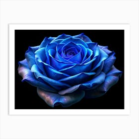 Single Blue Rose With Delicate Petals Against Black Background Art Print