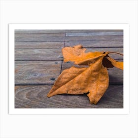 Orange Leaf On Wooden Deck Art Print