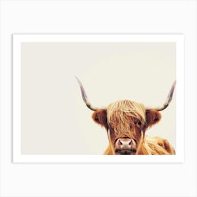 Highland Cow 4 Art Print