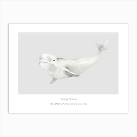 Whale Print Art Print