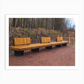 Benches In The Woods Art Print