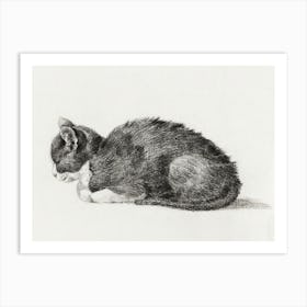 Lying Cat (1800), Jean Bernard Art Print