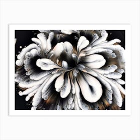 Black And White Flower Art Print