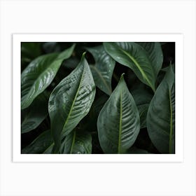 Close Up Of Green Leaves Art Print