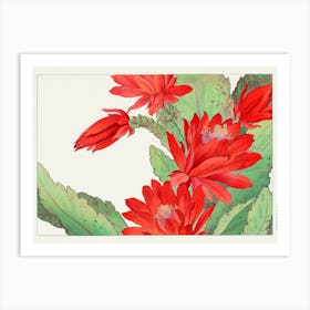 Red Cactus Art Print