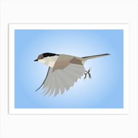 Bird In Flight Art Print