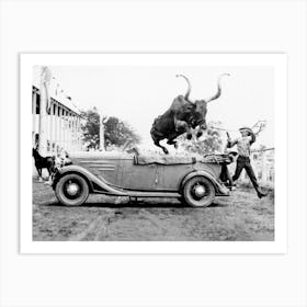 Bull Jumping Over a Car, Western Wall Decor, Vintage Black and White Old Photo Art Print