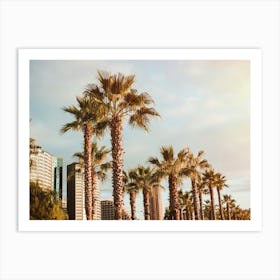 Palm Trees In The City Art Print