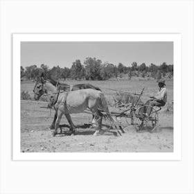 Faro Caudill Planting Beans, Pie Town, New Mexico By Russell Lee Art Print