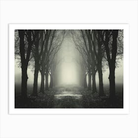 Dark Forest Path 1 Art Print