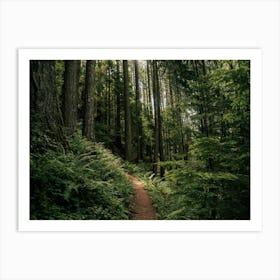 Happy Trails III Art Print