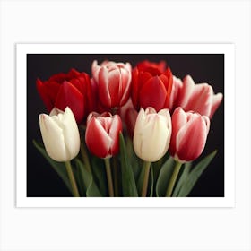 Red And White Tulips Art Print