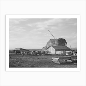 Untitled Photo, Possibly Related To Farmyard Of Farmer Living On Black Canyon Project, Canyon County Art Print