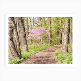 Spring Nature Trail Art Print