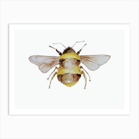 Bumble Bee 1 Art Print