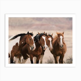 Horse Herd Art Print