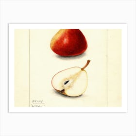 Two Pears 4 Art Print