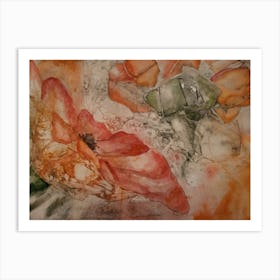 Poppies Art Print