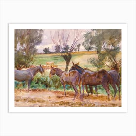 Mule Herd Art Print