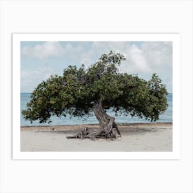 Tree on the beach Affiche