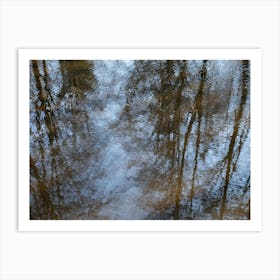 Reflection of trees and the blue sky in water Art Print