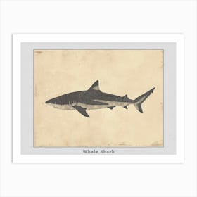 Whale Shark Grey Silhouette 4 Poster Art Print