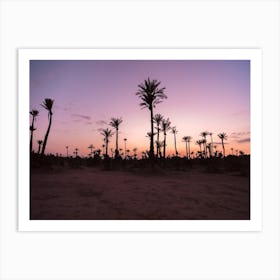 Sunset Desert Palms, Morocco Art Print