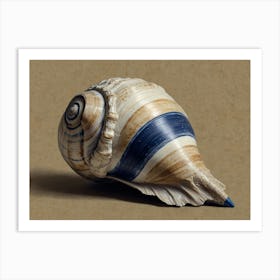 Seashell Hamptons style Art Print