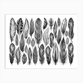 Black And White Feather Illustration Collection Art Print