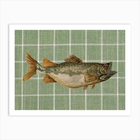 Green Fish Watercolour Illustration Art Print