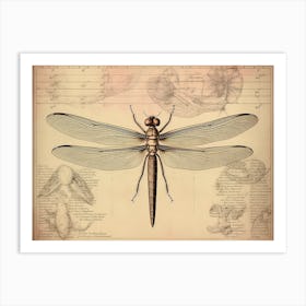 Dragonfly Vintage Newspaper 1 Art Print