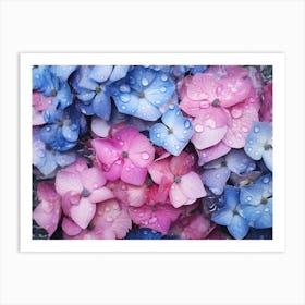 Hydrangeas 29 Art Print