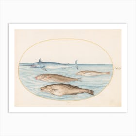 Aquatic And Shellfish Animals, Joris Hoefnagel (9) Art Print