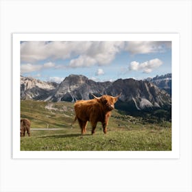 Highland Cow In The Mountains Art Print