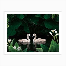 Cygnet Pair Nestled Among Greenery Embodying Purity And Elegance Beside A Serene Summer River Digi Art Print