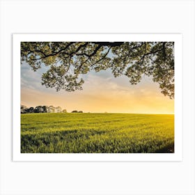 Sunset Field Art Print