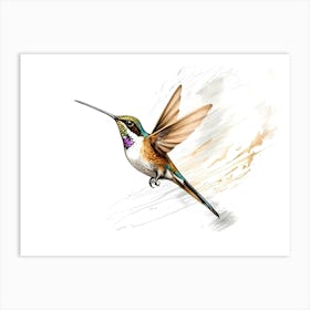 Kolibri Hummingbird - Water Color Painting 6 Art Print