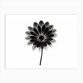 Black And White Flower 2 Art Print