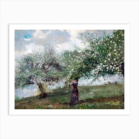 Woman Picking Apples Vintage  19th Century Oil Painting Art Print