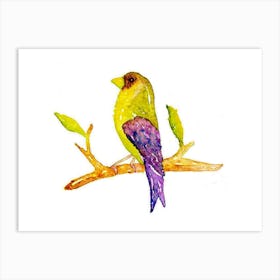 Bird On A Branch Art Print