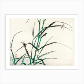 Beetles, Kōno Bairei Art Print