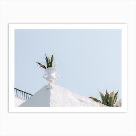 Cactus On The Rooftop Art Print