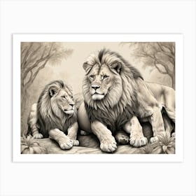 Lions 1 Art Print