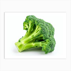 Broccoli 6 Art Print