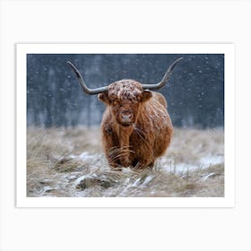 Snowy Highland Cow Art Print