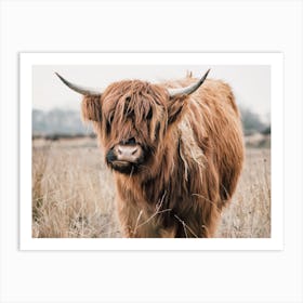 Rustic Highland Cow Art Print