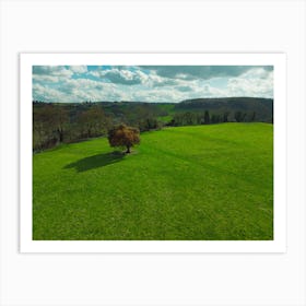 Lone Tree In The Field Art Print